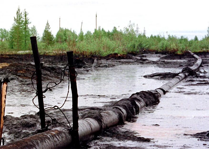 Какой газ на болоте. Разлив нефти на нефтепроводе. Трубопроводы на болотах. Всплытие газопровода. Аварийность магистральных трубопроводов.
