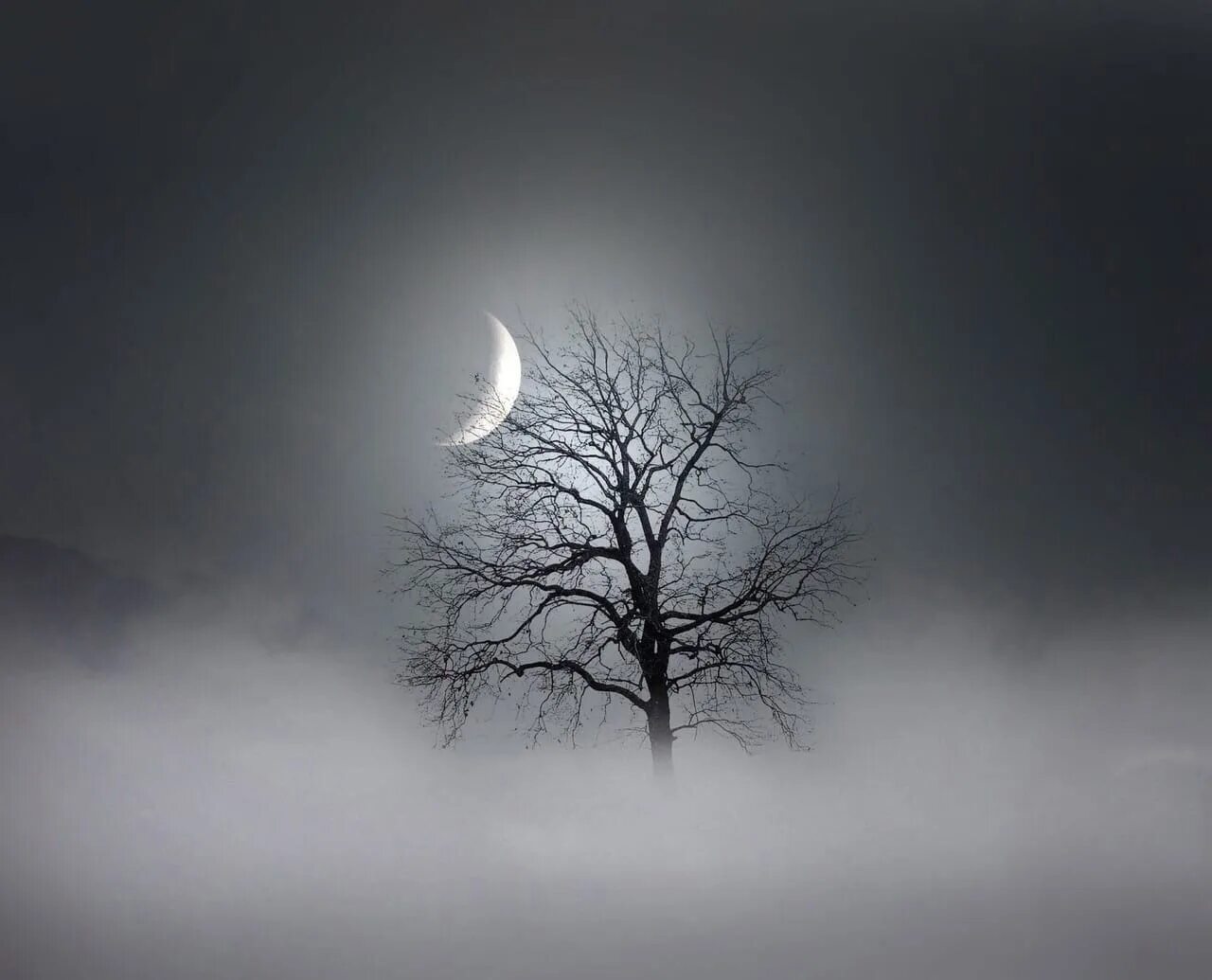 Ночь луна одиночество. Месяц одиночества. Фантастическое ночное небо. Одиночество в ночи. Человек в ночи.