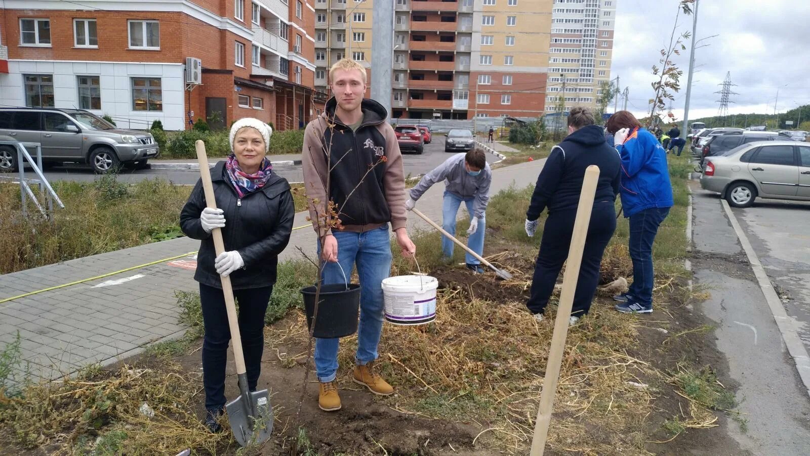 зеленая елец