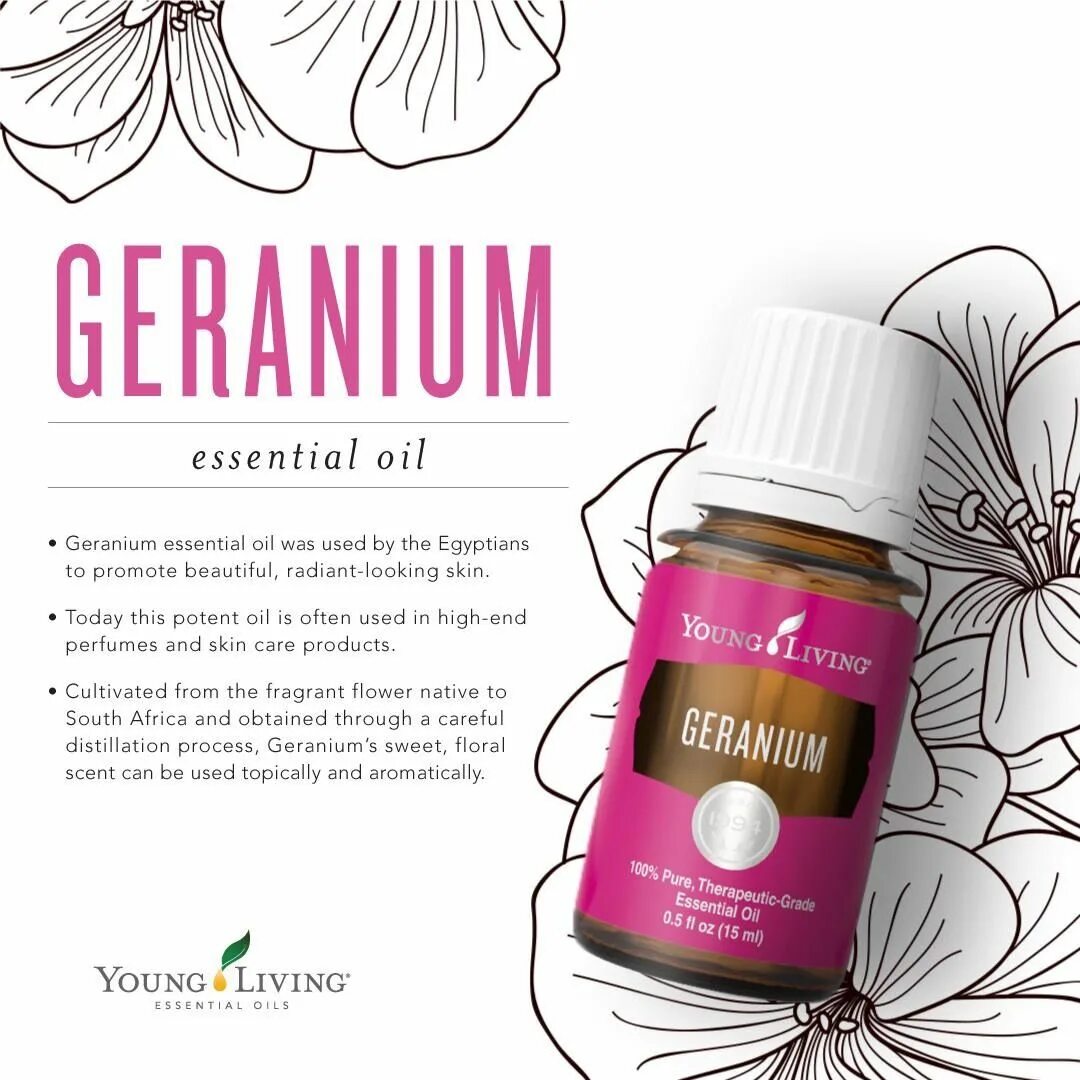 Young Living Geranium Essential Oil. Масло герани young Living. Geranium таблетки для похудения. Эфирное масло герани. Герань таблетки