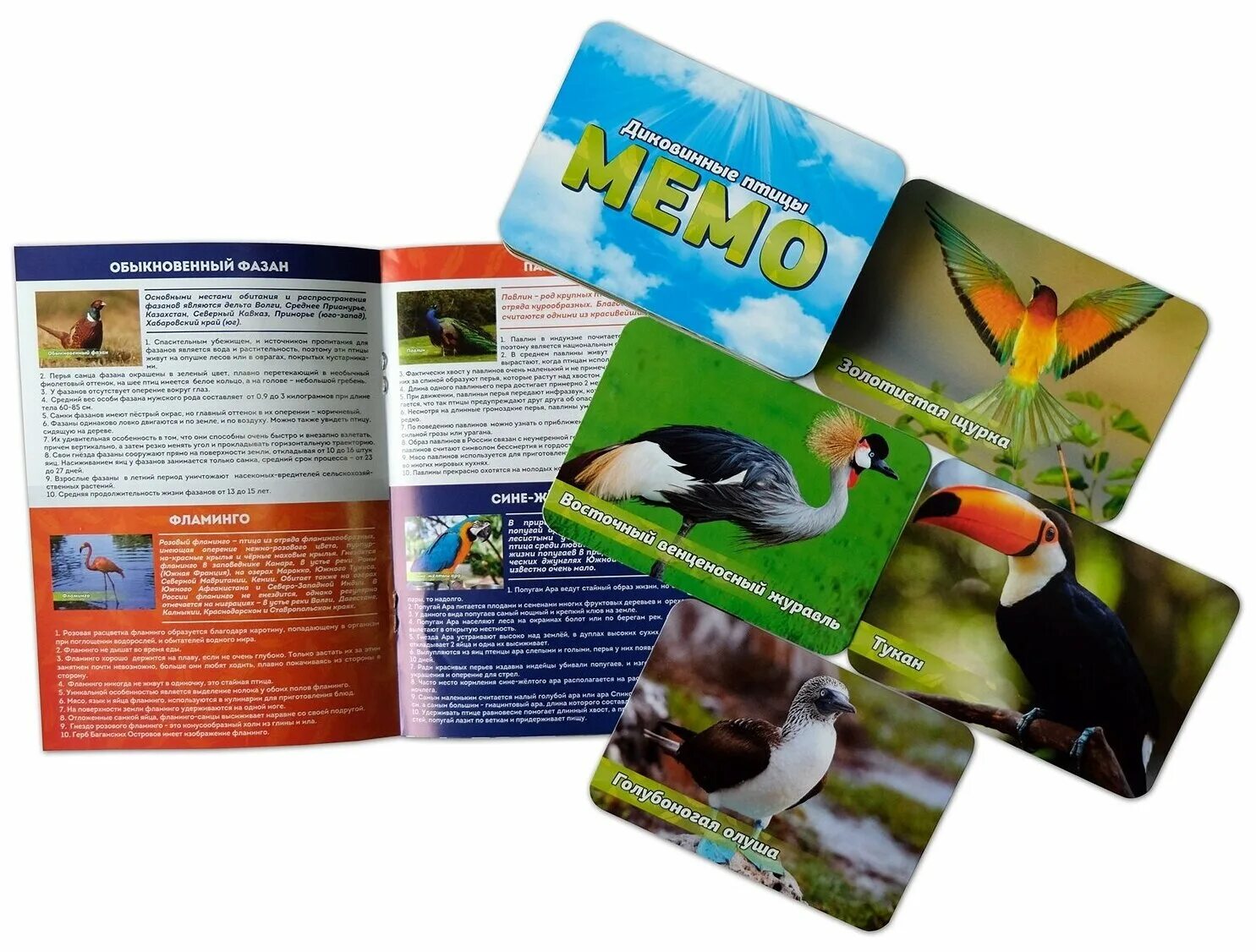 Игра мемо пернатый мир. Мемо десятое королевство птицы. Мемо пернатый мир 50 карточек. Мемо "пернатый мир" арт. Мемо "пернатый мир" арт.