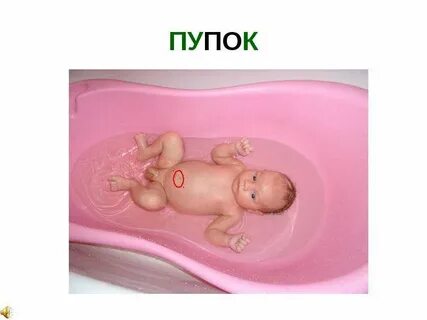 Зачем нужен пуп
