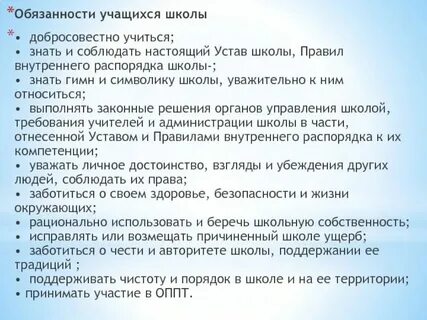 Правила и обязанности в школе