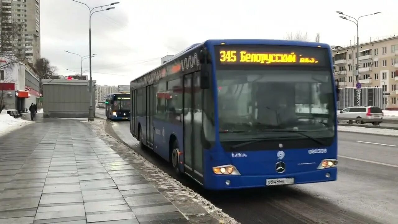 Маз 215 фотобус. 345 автобус минск. 169. Маз-203 автобус. Минские автобусы маз.
