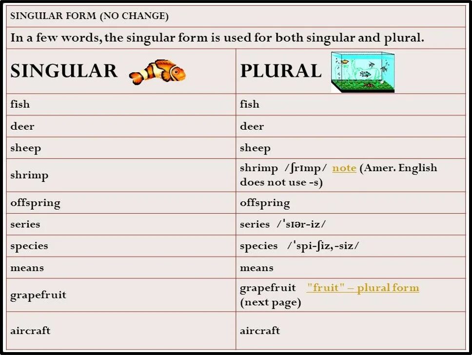 The boy has the word. Singular form. Plural form and singular form. Singular Words. Aircraft plural form.