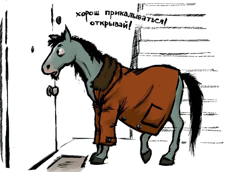 лошадь смеется. сивая кобыла. смешные лошади. что едят лошади. сено для лошадей.