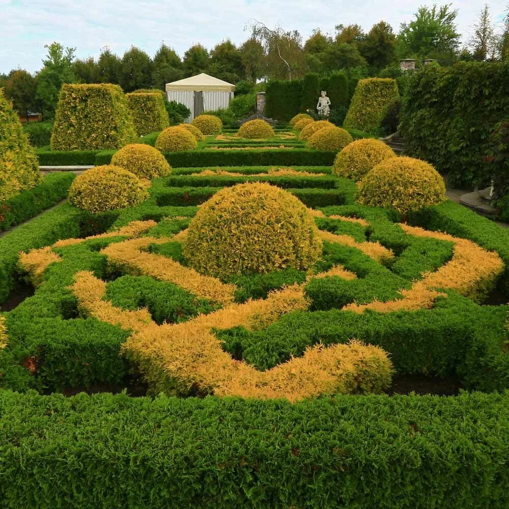 Увидишь сад. Роберт брукема ландшафтные сады. Сад цветов в сеуле. Сад сонник для женщины. Сад александра гривко в ореховно.