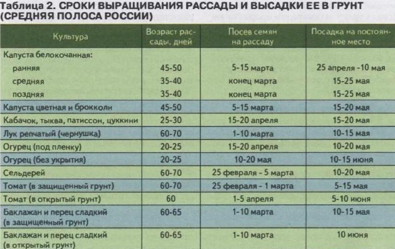 Какие дни посадка огурцов. Таблица посева рассады в грунт. Сроки рассады для высадки в грунт. Возраст рассады для высадки в грунт таблица. Таблица высадки семян в открытый грунт.