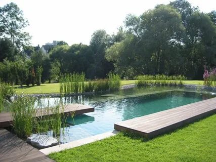 Plant pool