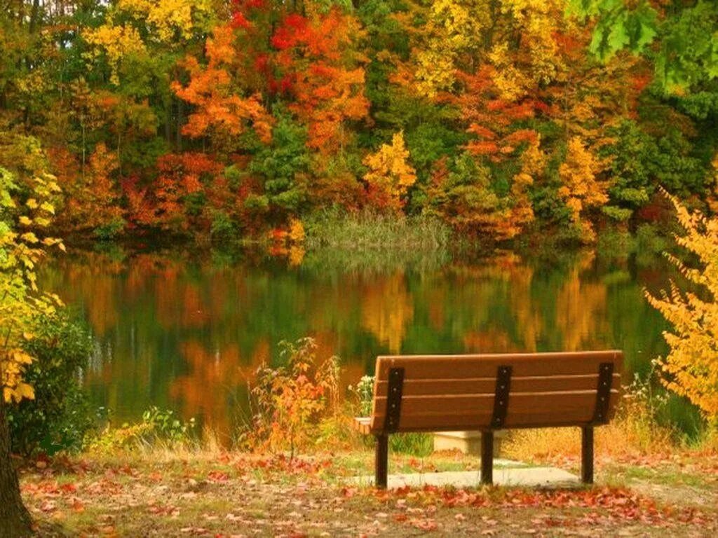 Осень остановись. Остановка осень. Осеннее пожалуйста. Осенние фоны остановки. Осени не будет никогда.