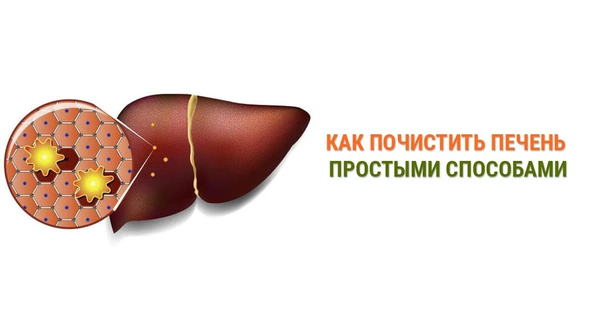 Для очистки печени. Чистим печень. Как почистить печень.