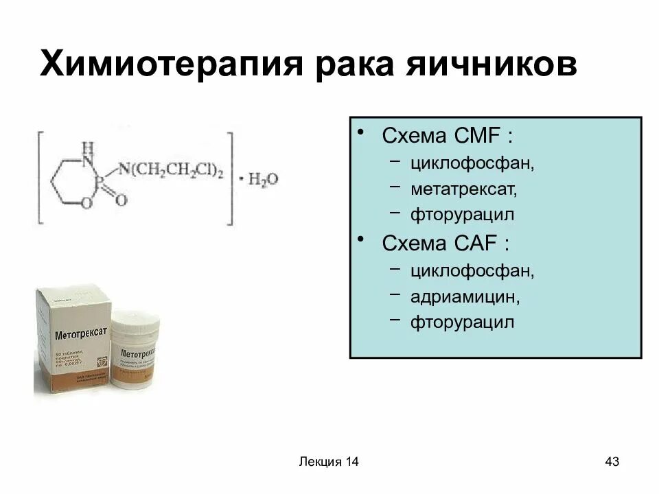 Схемы ПХТ. Схемы химиотерапии. Схема CAF химиотерапия. Циклофосфан химиотерапия.