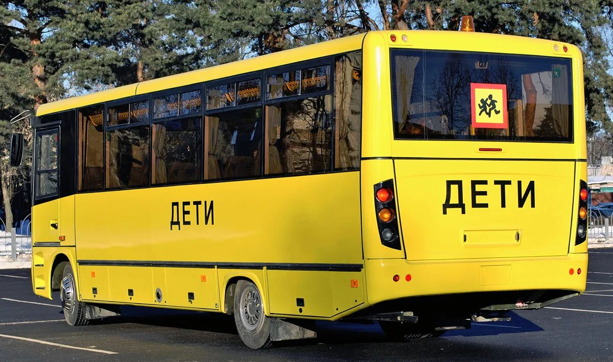 МАЗ 257s30. Автобус МАЗ 257. МАЗ 241s30 школьный. МАЗ 257 школьный. Маз 257