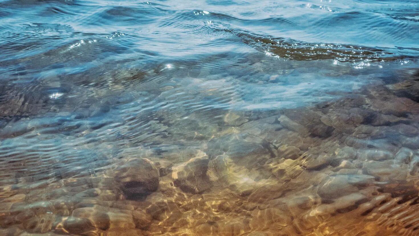 В прозрачной воде снуют шустрые. Прозрачное море. Море вода. Сквозь воду. Прозрачная вода.