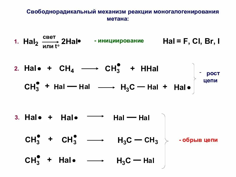 Механизм Радикальной реакции галогенирования. Механизм реакции хлорирования алканов. Механизм реакции радикального замещения алканов. Механизм свободнорадикального замещения алканов.