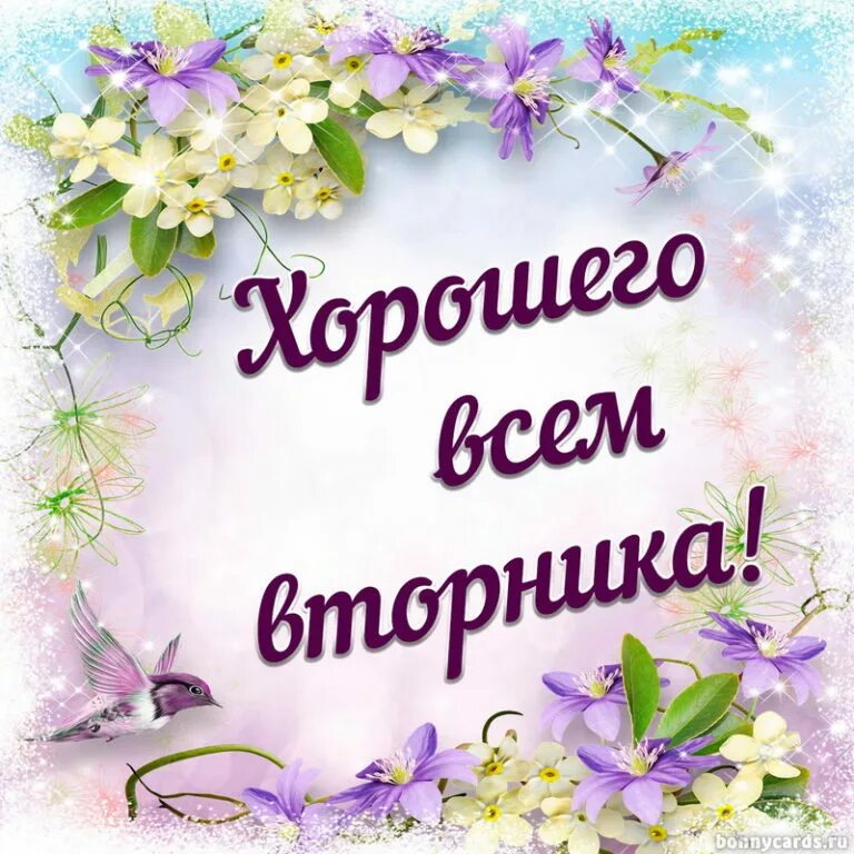 Хорошего дня и отличного вторника. Пожелание счастливого вторника. хорошего вторника отличного настроения. открытка отличного вторника. пожелания на вторник открытки.