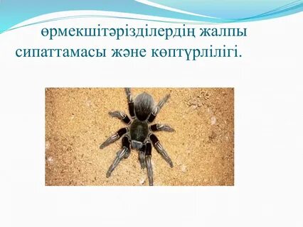 Феррера Гоместің суреті