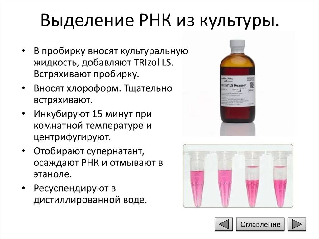 Какие методы можно использовать для выделения. Методы выделения РНК. Методы выделения ДНК И РНК. Методы выделения и очистки РНК.. Способы выделения РНК.