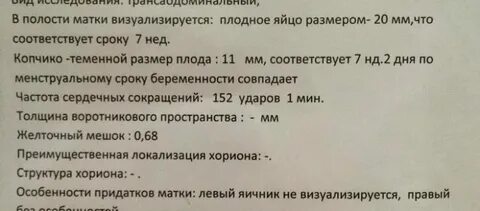 Матки 7