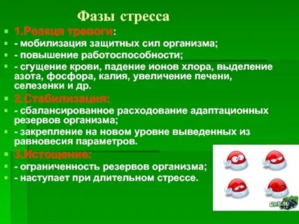 Мобилизация стресса