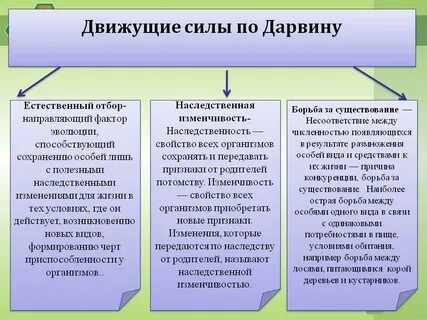 Вид популяция движущие силы эволюции