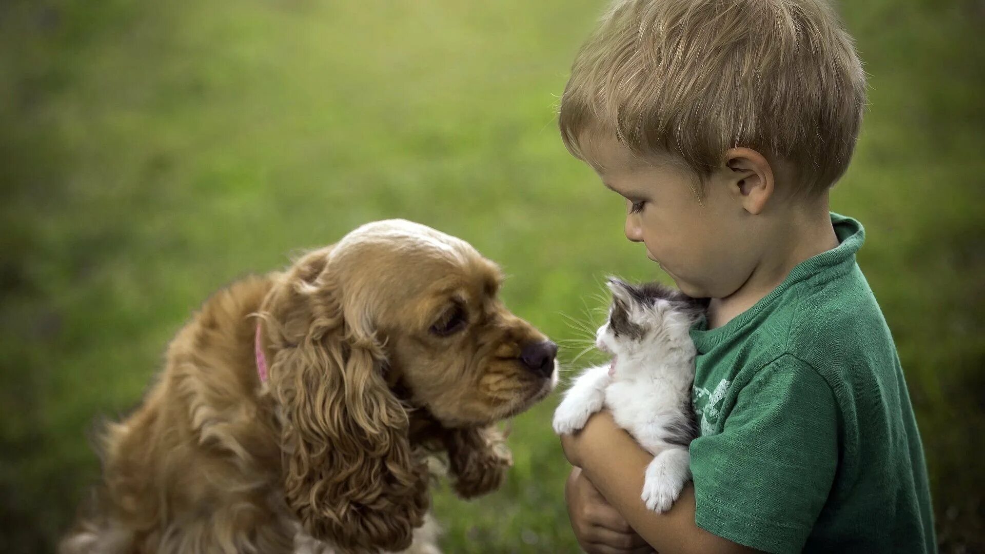 Для детей. Животные. Доброта к животным. Дети и животные доброта. Любовь к животным. Звери быть добрее
