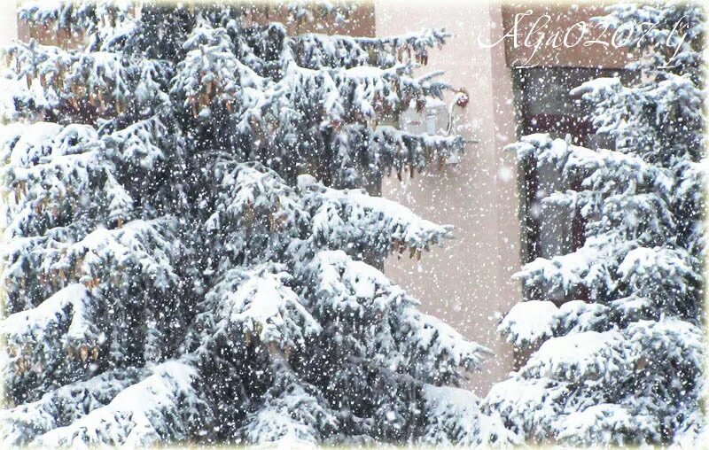 когда февраль как господин. февраль как господин. пока февраль как господин снимает белое пальто картинки. сестрорецкий курорт снесли. февраль песня агутин.