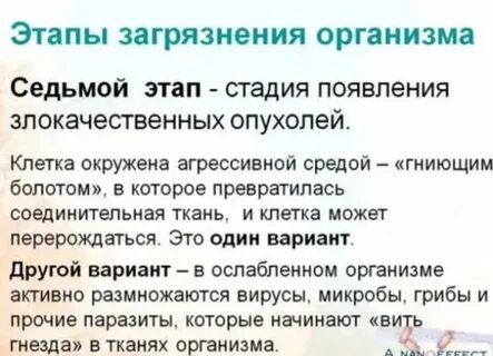 Фазы организма