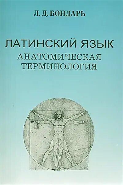 Анатомическая терминология на латинском языке. Анатомическая терминология латынь. Латинские термины в анатомии. Терминология на латыни анатомия. Дыхание латынь термин