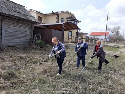 Погода пола