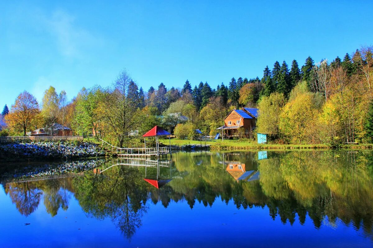 Пихтовый бор адыгея отель. Лагонаки пихтовый бор отдых. Пихтовый бор адыгея отель. Лагонаки пихтовый бор отдых. Лагонаки пихтовый бор отдых.