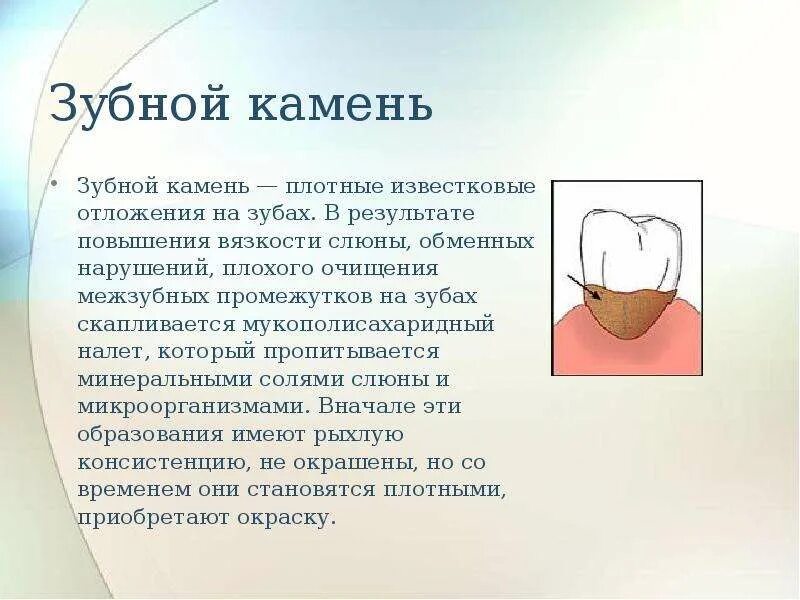 Минеральные зубы