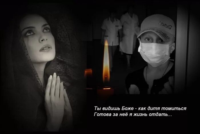 Как смириться с смертью. Смерть любимого питомца. Как пережить смерть питомца. Как смириться с смертью. Как смириться с смертью.