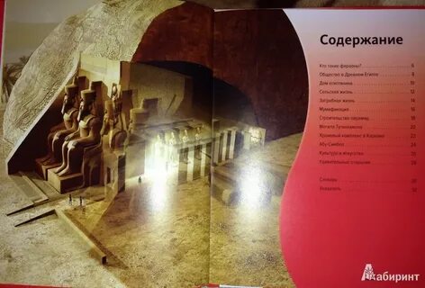 Гробница книга