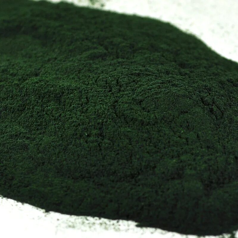 Водоросли спирулина купить. Морские водоросли спирулина. Spirulina водоросль. Спирулина порошок. Бутунти спирулина.