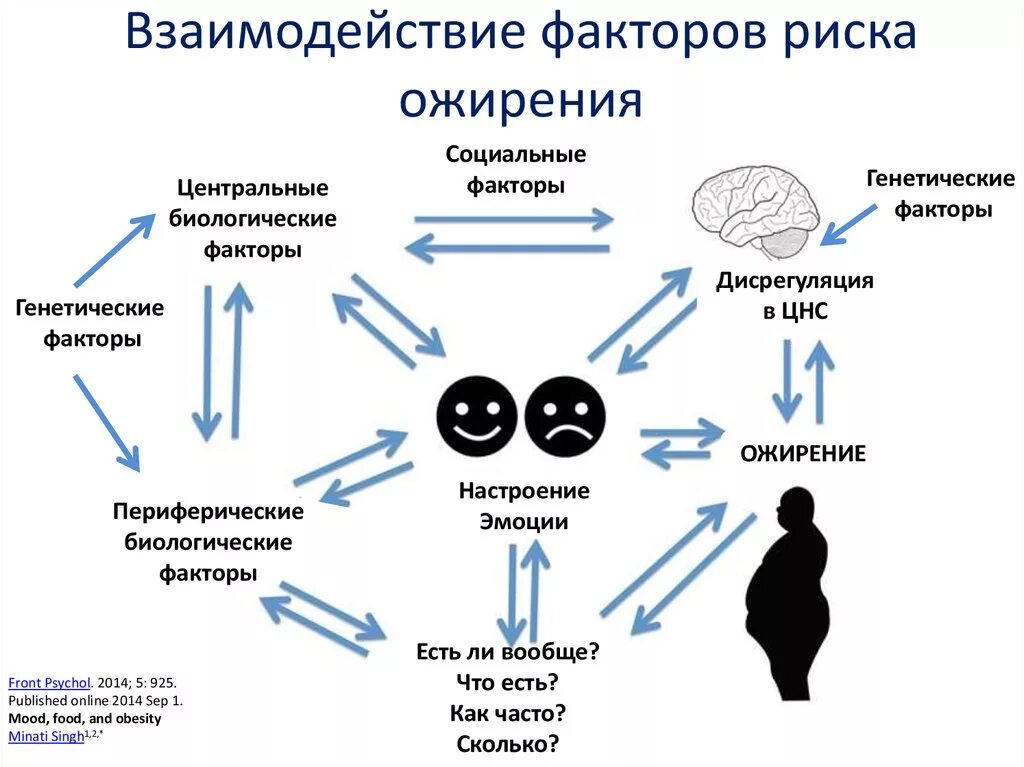 Ожирение фактор риска развития заболеваний. Факторы риска заболеваний при ожирении. Факторы влияющие на ожирение. Факторы способствующие развитию ожирения.