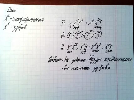 Локализованном в х хромосоме