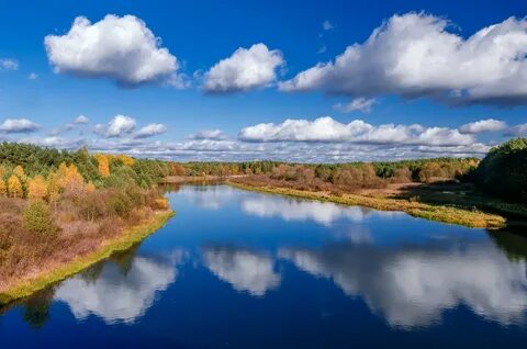 Природа беларуси картинки