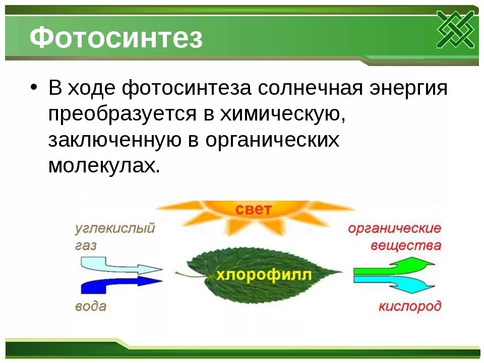 Какое преобразование энергии осуществляется в солнечных. Энергия фотосинтеза. Энергия при фотосинтезе растений. Фотосинтез схема. Схема фотосинтеза у растений.