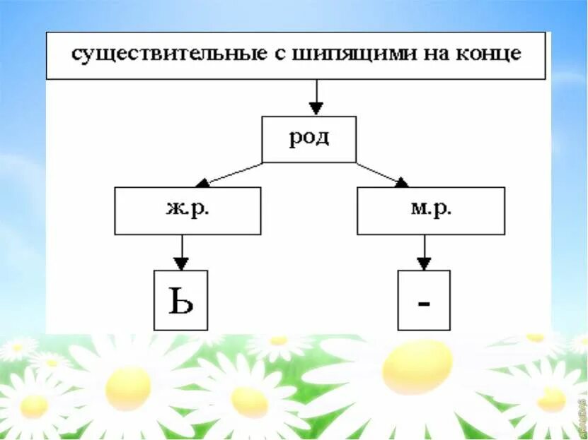 Слова мужского рода с шипящей на конце. Ь знак на конце существительных после шипящих. Ь на конце существительных после шипящих 3 класс. Мягкий знак на конце имен существительных после шипящих. Мягкий знако на конце импен существительнх посмле щипящих.