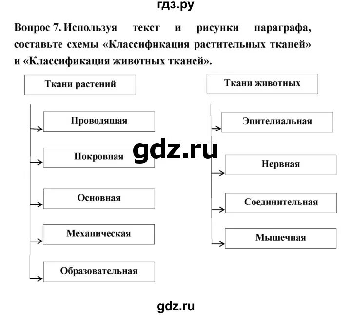 Используя рисунки в тексте параграфа установите