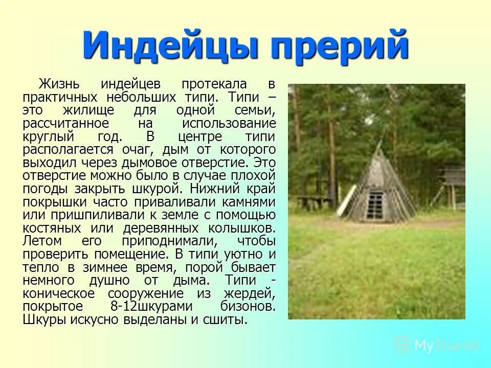 Вигвам индейцев южной америки. Вигвам индейцев северной америки. Типи нарммбаданхо. Нео типи. Типи.