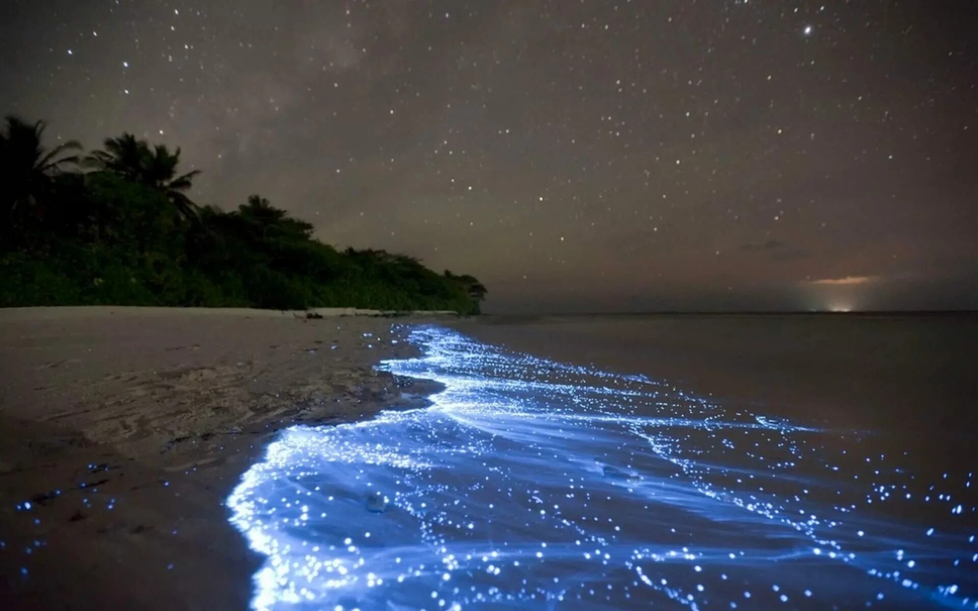 Ваадху Мальдивы. Атолл Ваадху Мальдивы. Остров Ваадху (Vaadhoo Island), Мальдивские острова. Остров Ваадху, Мальдивы. Планктон.