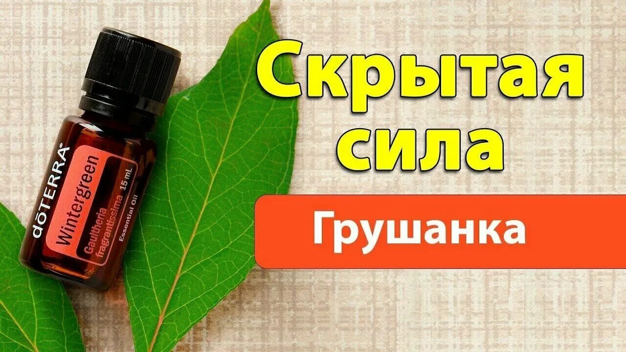 Грушанка doterra. Бальзам на основе масла грушанки. Грушанка эфирное масло свойства. Грушанка эфирное масло. Грушанка эфирное масло свойства.