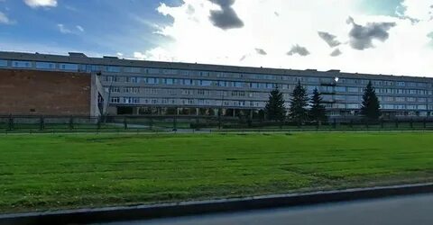 Пни 7