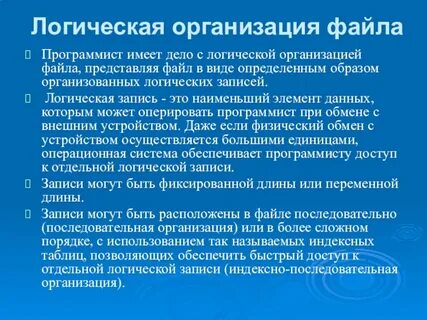 Логическая организация файловой системы