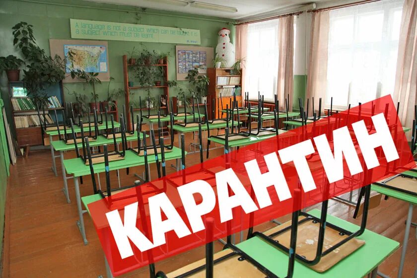 В каком случае закрывают класс на карантин. Карантин в школе. карантин в садике.