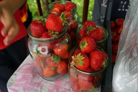 Время клубники