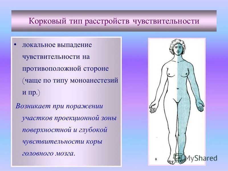 Повышенная чувствительность латынь. Корковый Тип расстройства чувствительности. Корковый Тип нарушения чувствительности. Корковый Тип чувствительных расстройств. Корковый вид расстройства чувствительности.