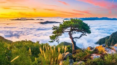 Great beautiful